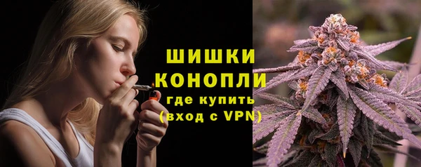 СК Сосновый Бор