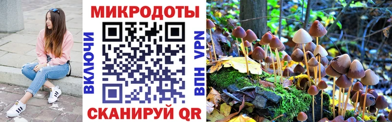 Псилоцибиновые грибы GOLDEN TEACHER  Ермолино 
