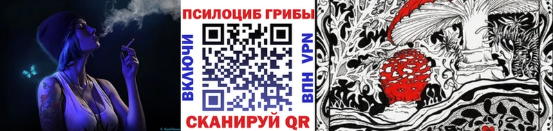 Псилоцибиновые грибы Psilocybe Ермолино